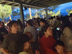 -千岛湖天屿景区