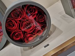-ROSEONLY诺誓(沈阳万象城店)