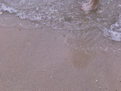 -贝壳沙滩
