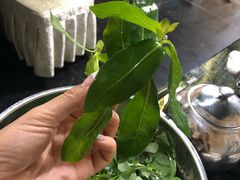 -黔府豆米火锅野菜馆(南马店)