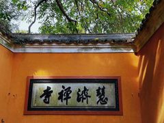 -普陀山慧济禅寺