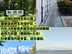 -莲花山公园