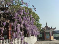 -嬉子湖生态旅游区