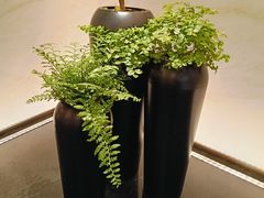 -深圳美高梅酒店-品聚嘉府中餐厅