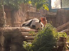 -泉州海丝野生动物世界