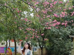 -盈香心动乐园