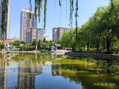 -团结湖公园