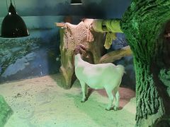 -zoonana室内动物园(东方福来德店)