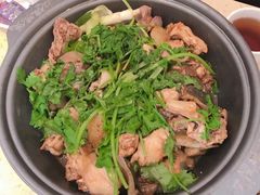 -芳村榕树头叹佬鸡煲(体育西店)