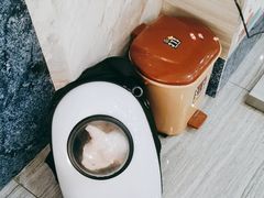 -瑞派名望志远动物医院·猫科·內科·异宠专科(直港大道店)