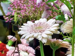 -何兮花店·气球派对鲜花店(马桥银春路万科城店)