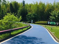 -宜兴龙背山森林公园
