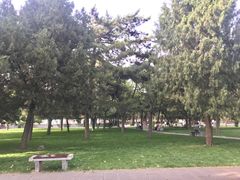 -晋祠公园