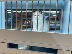 -FAELING PETS美天灵宠物(合生汇店)