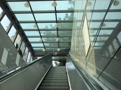 -1点点(爱华店)
