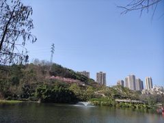 -重庆彩云湖湿地公园