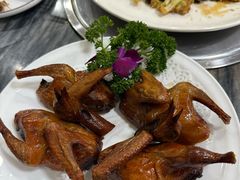 -鸽鸟轩(石岐店)