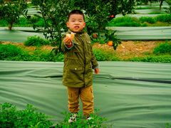 -上海长兴岛郊野公园