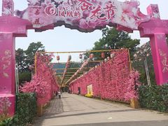 -北京凤凰岭