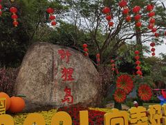 -野狸岛