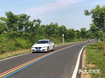 地理位置:具体位置不记得了 就是去溧阳的路上