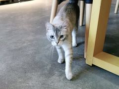 -脉冲品质汽美·贴膜(闵行店)