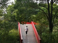 -美兰湖景区