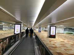 -英迪拉·甘地国际机场