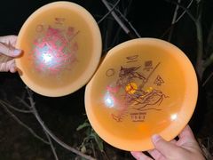 -昆山城市生态森林公园