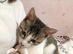 -宠颐生汉谟拉比宠物医院