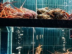 -官也街澳门火锅(新源里店)