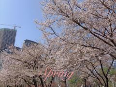 -西北湖绿化广场