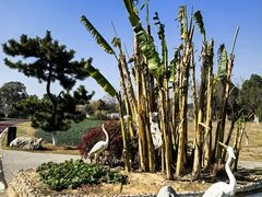 -瑶湖郊野森林公园