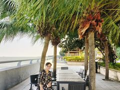 -大湾区中央湿地公园