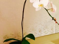 -北京康莱德酒店
