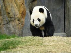 -无锡动物园·太湖欢乐园