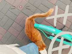 -milch·t妙奇(五大道店)
