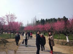 -秀丽东方