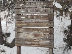 -阳台山自然风景区