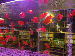 -御池园(顾村公园店)