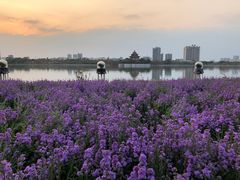 -顺峰山公园