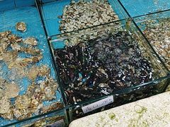 -考记泥焗鸡农庄·海鲜(北洛秘境店)