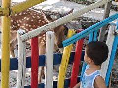 -西部长青自然儿童乐园