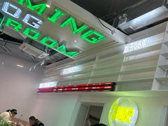 -靓蛙馆