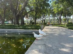 -顺峰山公园