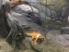 -福州罗源湾海洋世界旅游区