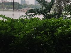 -南宁南湖公园