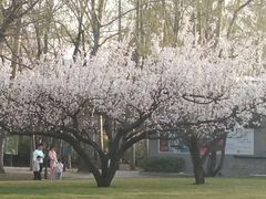 -森林公园(尖草坪区)