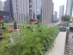 -瓦库茶馆17号(海汇港店)