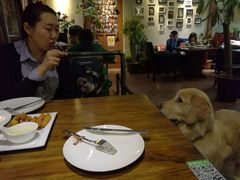 -百好乐宠物友好餐厅(朝外大街店)